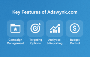 Key Features of Adswynk.com